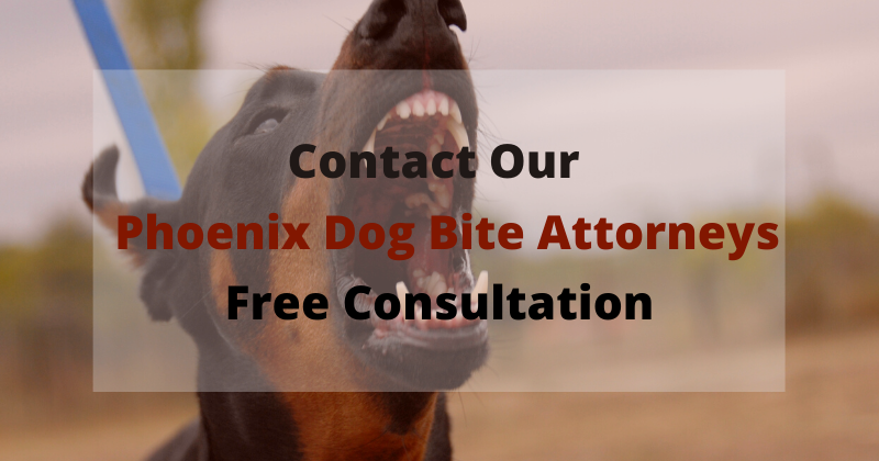 Contact Our Phoenix Dog Bite Attorney 