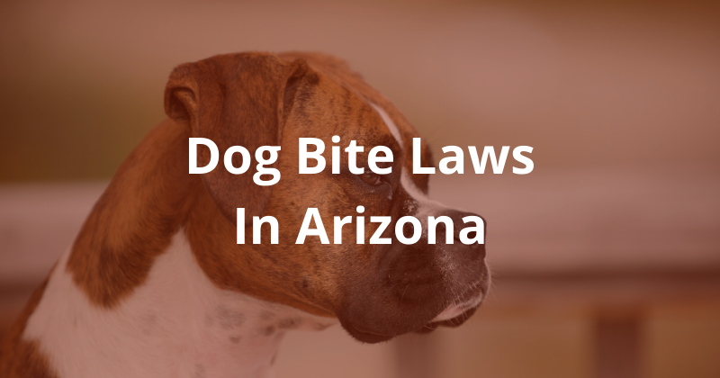 Dog bite laws in Arizona