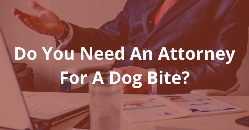 Do you need an attorney for a dog bite