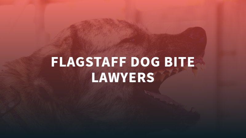 Flagstaff Dog Bite Lawyer