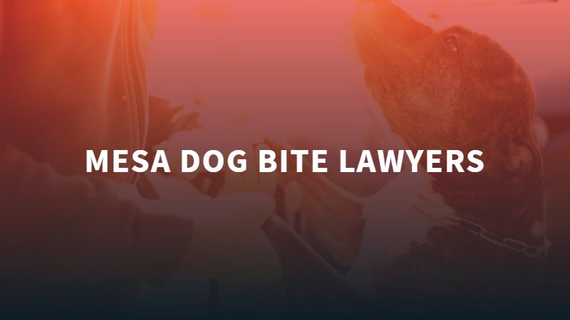 Mesa Dog Bite Lawyer
