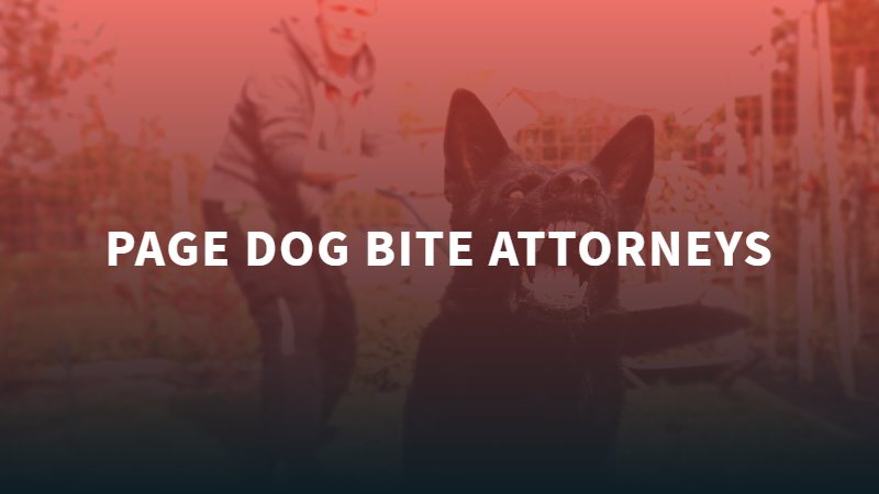 Page Dog Bite Attorneys