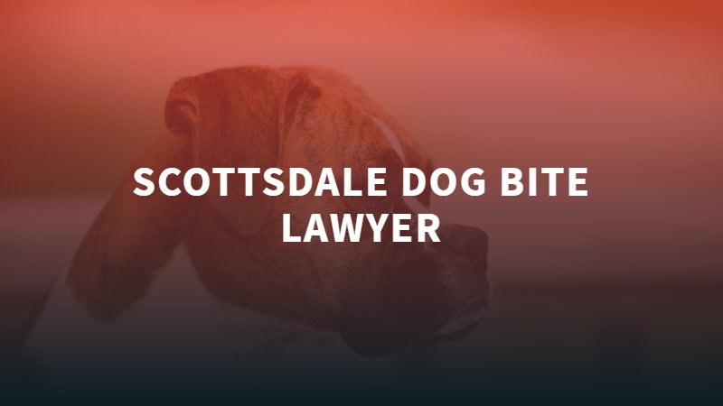 Scottsdale Dog Bite Lawyer