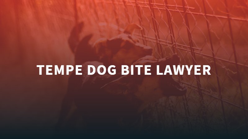 Tempe Dog Bite Lawyer