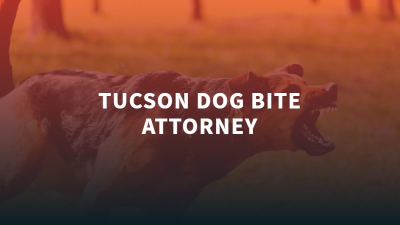 Tucson Dog Bite Attorney