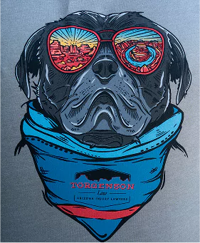 A black pug wearing sunglasses that reflect a desert landscape and a blue bandana featuring the logo for Torgenson Law.
